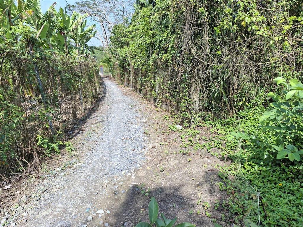 Chủ cần bán rẻ đất 1ha xã hưng long view sông giá rẻ 14ti