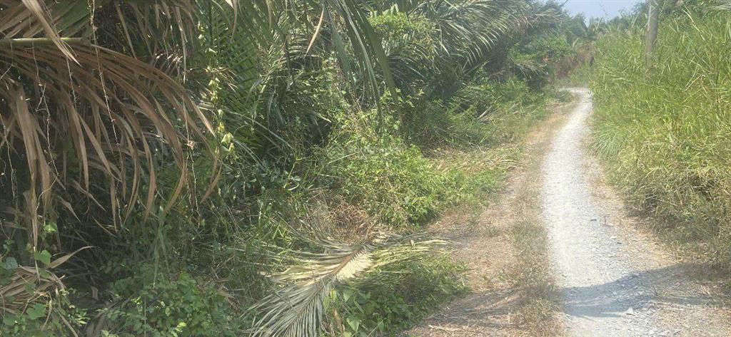 Chủ cần bán rẻ 2.5ha đất hưng long giá rẻ 30 tỷ