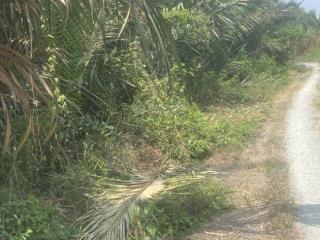 Chủ cần bán rẻ 2.5ha đất hưng long giá rẻ 30ti