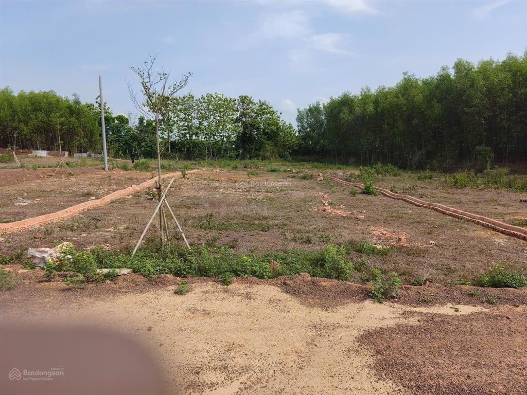 Bán đất đẹp xuất sắc tại khu phố 2, đoàn thị điểm, 900 triệu, 500m2 thổ cư shr