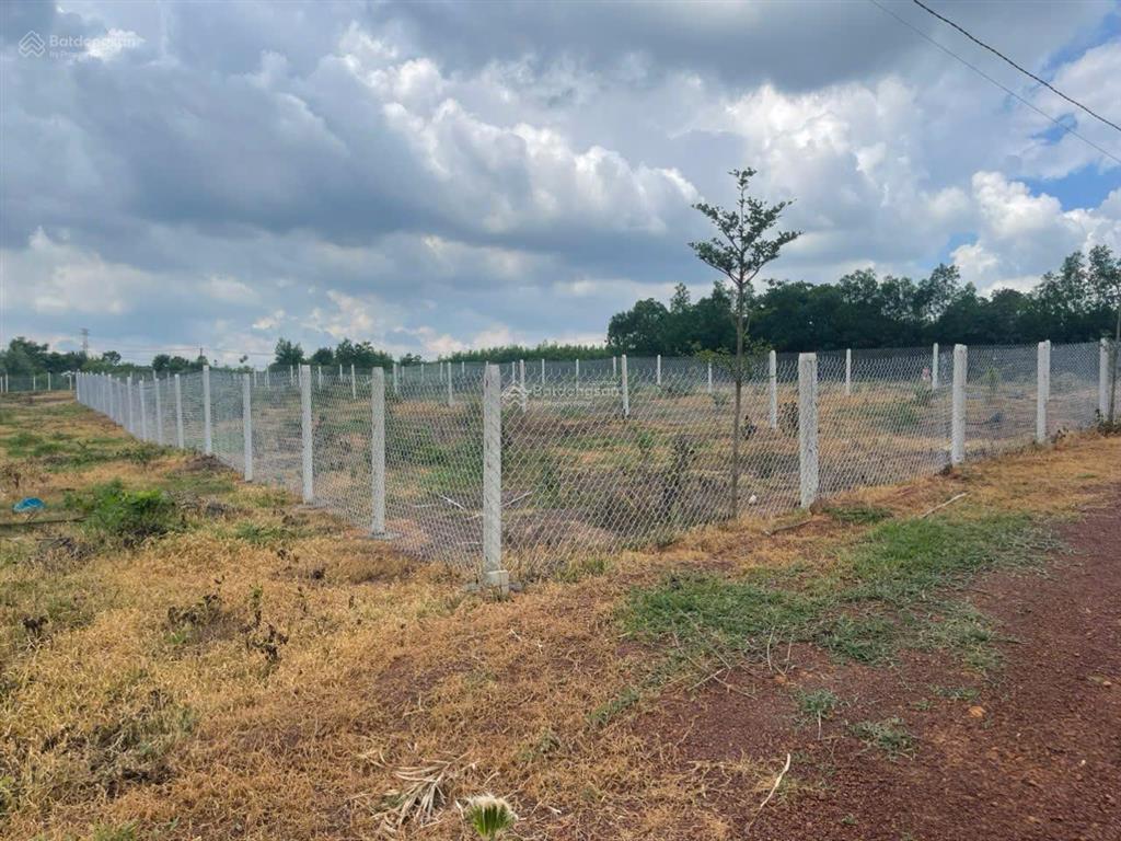 Bán đất siêu hot tại đoàn thị điểm, 450 triệu, 547m2