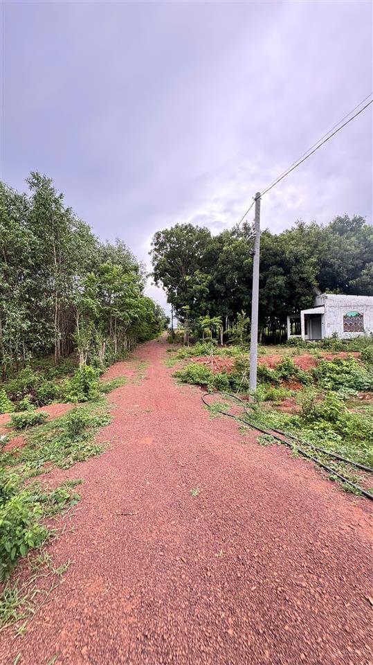 520 triệu có ngay 645m² đất gần hồ trị an, cách trung tâm 2km