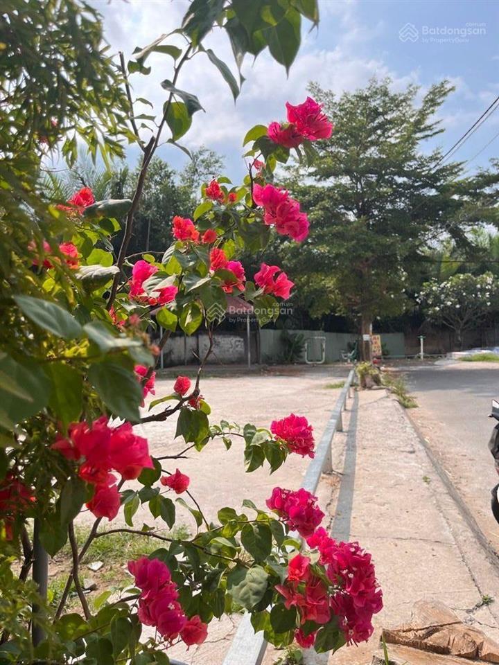 Siêu phẩm nhà mới có thang máy đối diện công viên ngay khu dân cư sài gòn mới, qua q7 vài phút