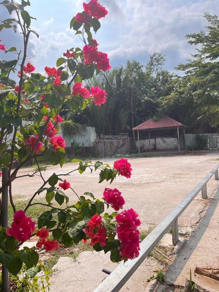 Siêu phẩm nhà mới có thang máy đối diện công viên ngay khu dân cư sài gòn mới, qua q7 vài phút