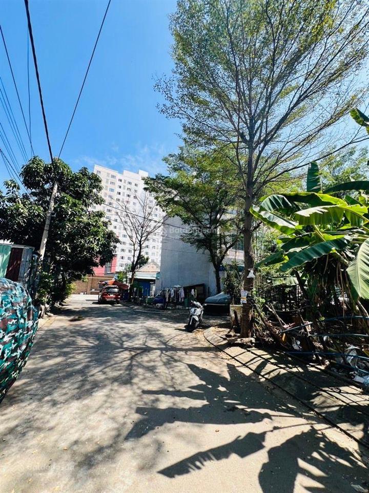 Đất view góc đường nhựa 8m xe hơi tránh, giá chỉ hơn 50tr/m. ngay 2581 huỳnh tấn phát, nhà bè