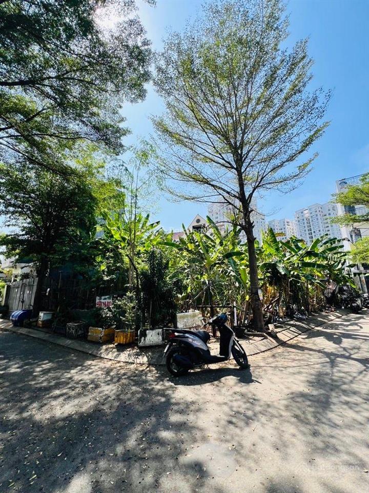 Đất view góc đường nhựa 8m xe hơi tránh, giá chỉ hơn 50tr/m. ngay 2581 huỳnh tấn phát, nhà bè