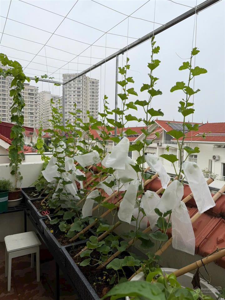 Bán biệt thự liền kề khu đô thị mailand hanoi city nơi ước đến chốn mong về