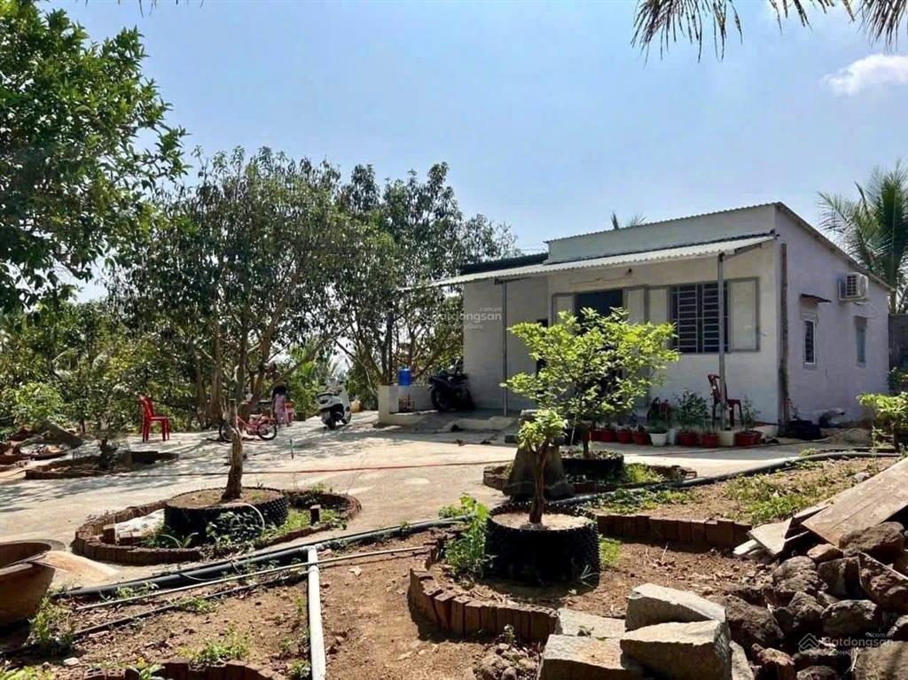 Bán đất vườn 1200m2 900tr có thổ cư, sổ riêng, có cây ăn trái sẵn đất tâm huyết