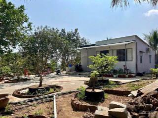 Bán đất vườn 1200m2 900tr có thổ cư, sổ riêng, có cây ăn trái sẵn đất tâm huyết