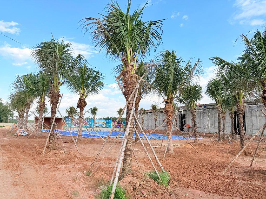 Chỉ 5 triệu mỗi tháng sở hữu ngay 100m2 đất full thổ cư - Sổ hồng riêng - Cạnh nút giao cao tốc