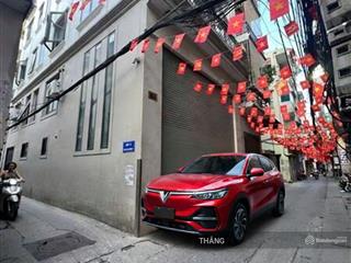 Cần bán nhà mặt ngõ ô tô đỗ cửa phố lạc trung, 56m, 5t. mt 5m.lô góc, kinh doanh, giá 15 tỷ có bớt