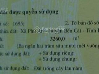 Bán đất giá tốt  diện tích lớn, phù hợp đầu tư và làm vườn tại bến cát, bình dương