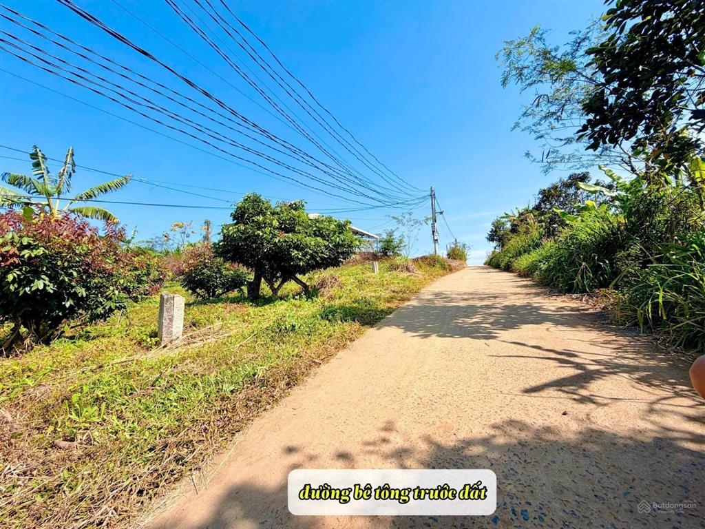 Đất thổ cư ont diện tích lớn, giá rẻ tại khu vực
