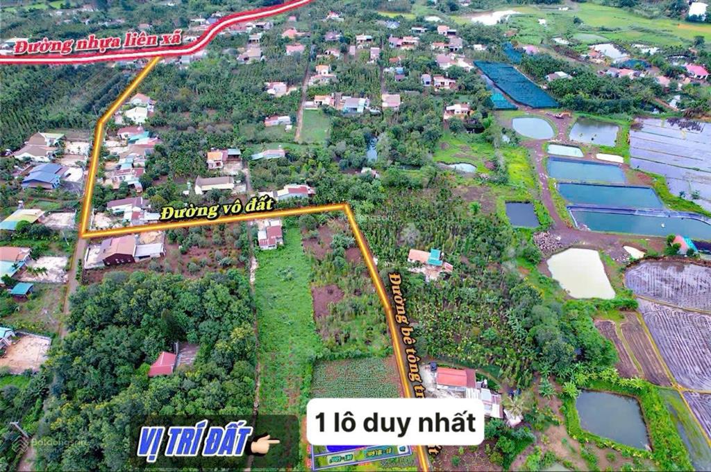 Đất thổ cư tại cư kiun cách sân bay buôn ma thuột gần 20km