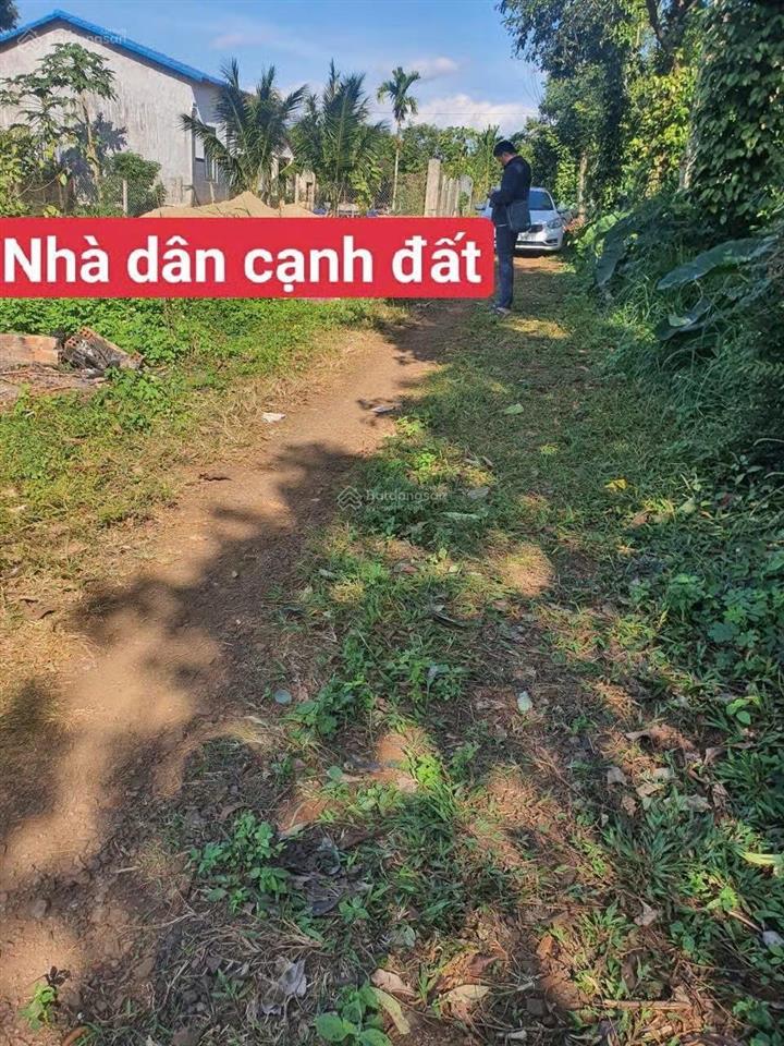 Chính chủ giảm giá cần bán đất cạnh kcn phú xuân, 2 lô liền kề