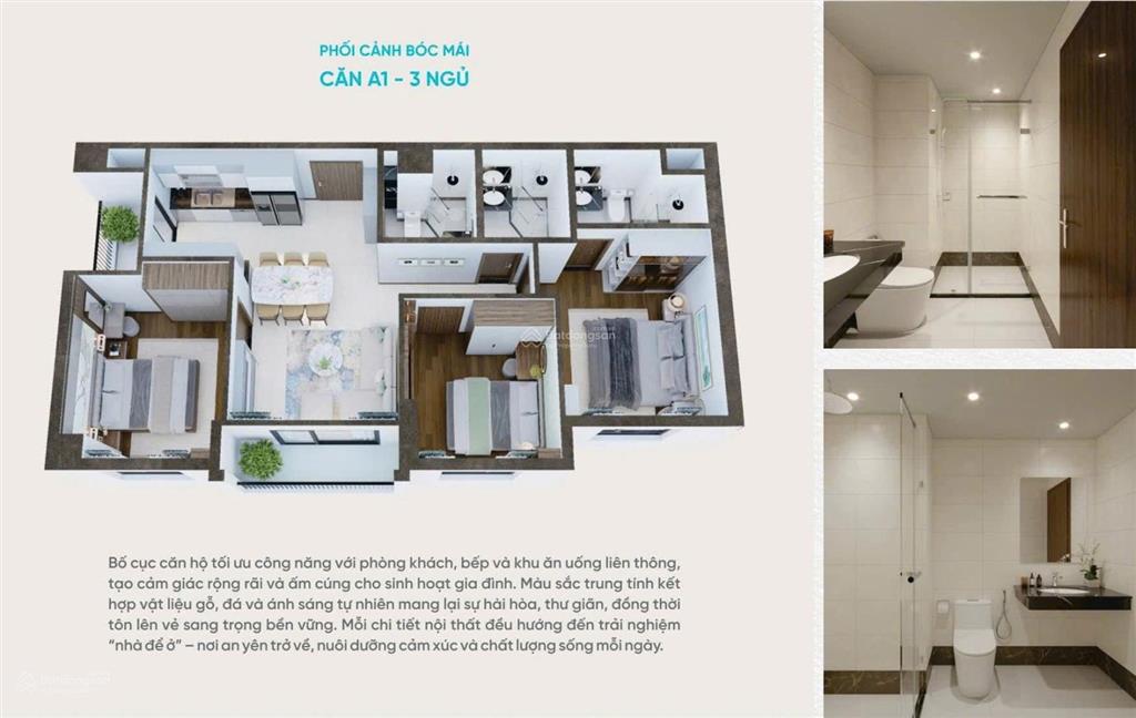 Chỉ hơn 1,6 tỷ ký hđmb trực tiếp cđt viha flora garden, hỗ trợ 0% trong 18 tháng