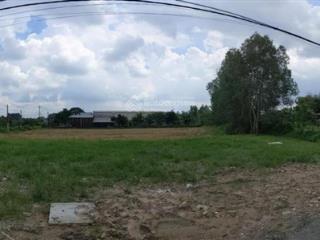 Bán gấp đất 146,3m2 tại nguyễn thị nhia, phước hiệp, củ chi, giá tốt 1,8 tỷ