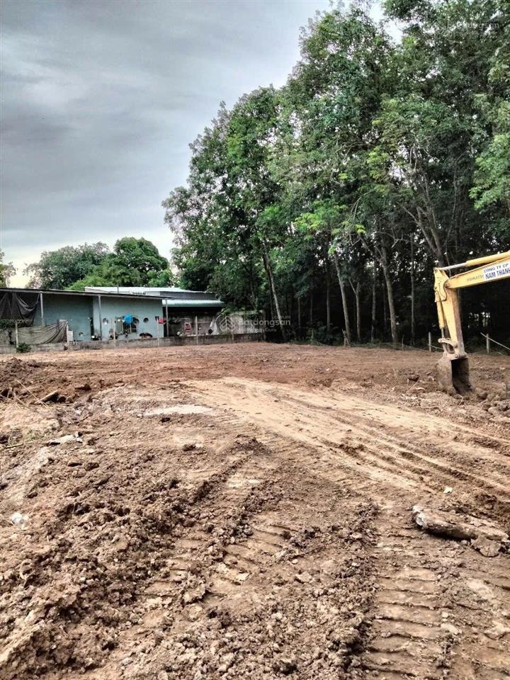 2 mặt tiền đường nhựa ngay nguyễn thị lắng (28x32) 955m2 có 144m2 thổ cư nở hậu nhẹ