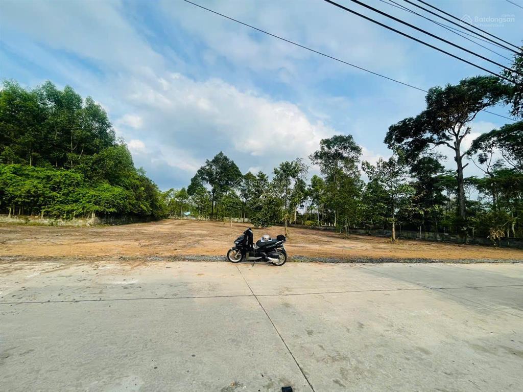 Chính chủ muốn gửi bán lô đất vườn ở tân an hội ngay tt củ chi  10x50m (505m²)