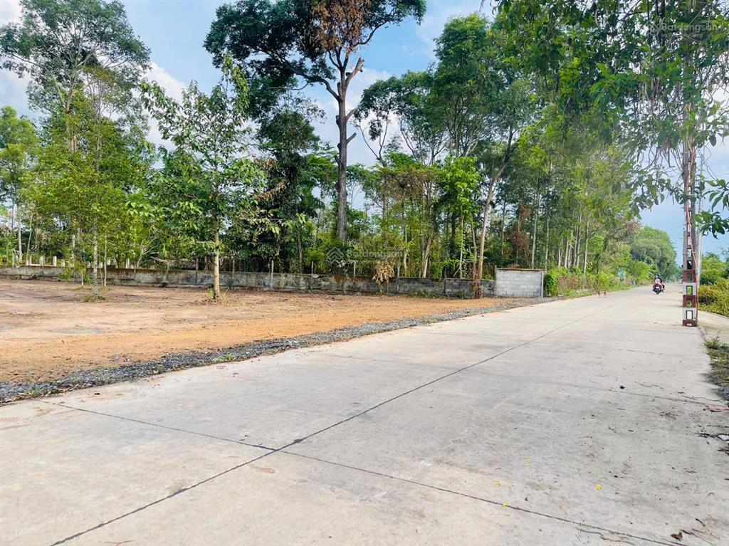 Chính chủ muốn gửi bán lô đất vườn ở tân an hội ngay tt củ chi  10x50m (505m²)