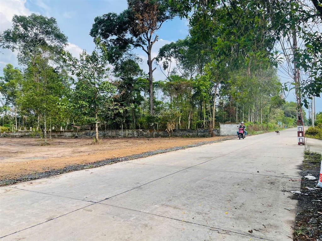 Chính chủ muốn gửi bán lô đất vườn ở tân an hội ngay tt củ chi  10x50m (505m²)