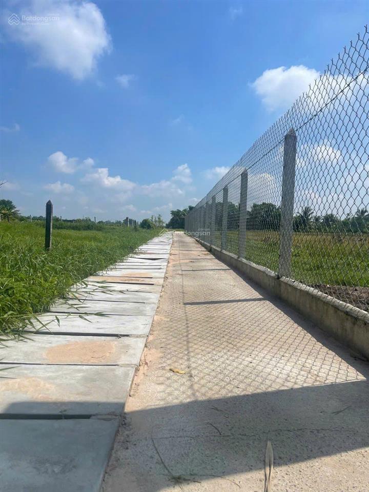 Chủ ngộp bán gấp lô vườn 810m có 40m thổ cư 1 tỷ 350 thái mỹ đường bê tông 3m, cách đường nhựa 10m
