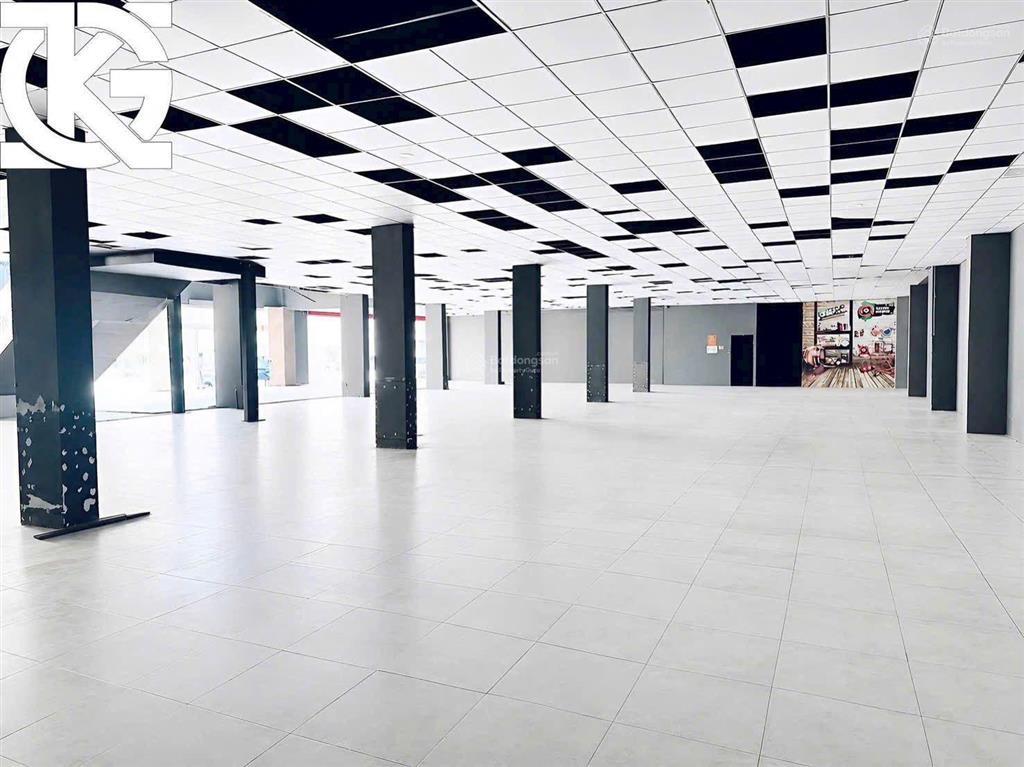 Cho thuê nhà nguyên căn mặt đường nguyễn siêu, quận 1, tp hcm cực kỳ đẹp.