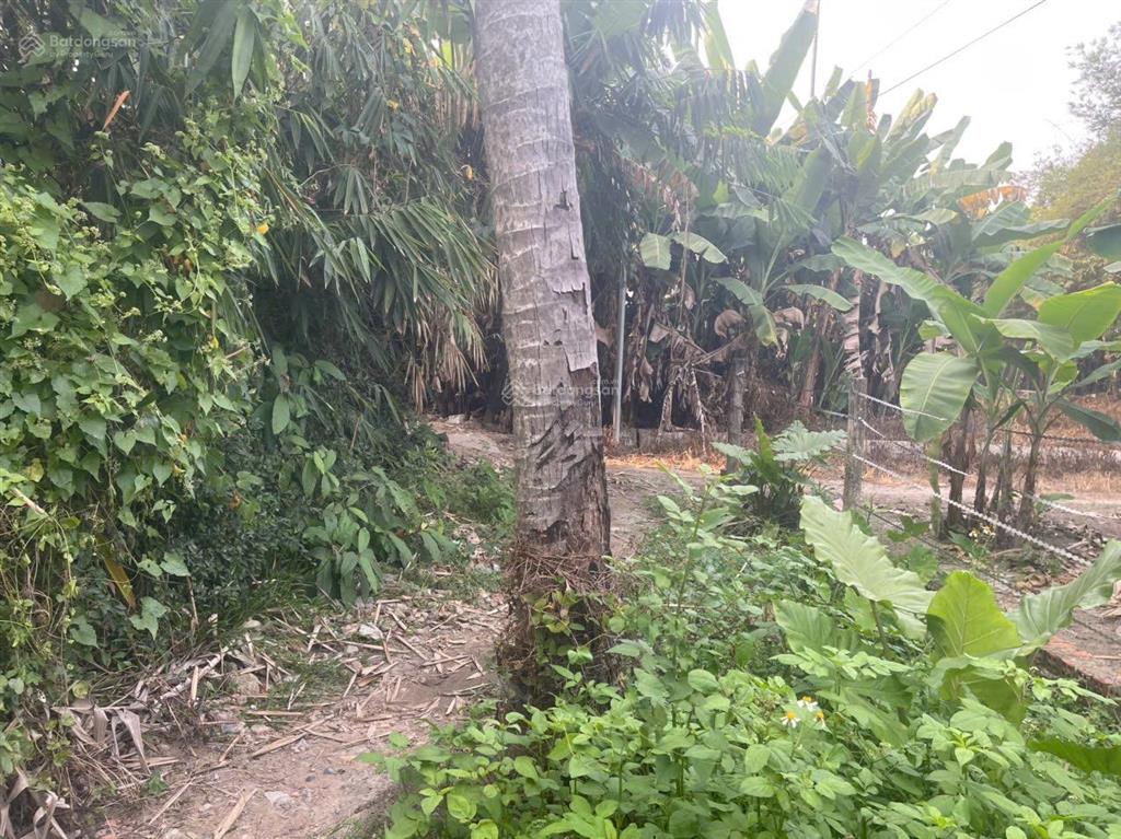 Bán đất tại hùng vương, nhơn trạch, 1,4 tỷ, 317,6 m2, đẹp, nhiều tiện ích