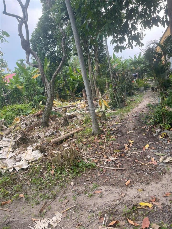 Bán đất tại hùng vương, nhơn trạch, 1,4 tỷ, 317,6 m2, đẹp, nhiều tiện ích