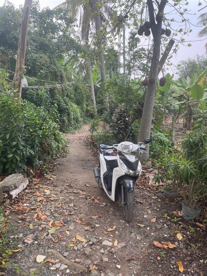 Bán đất tại hùng vương, nhơn trạch, 1,4 tỷ, 317,6 m2, đẹp, nhiều tiện ích