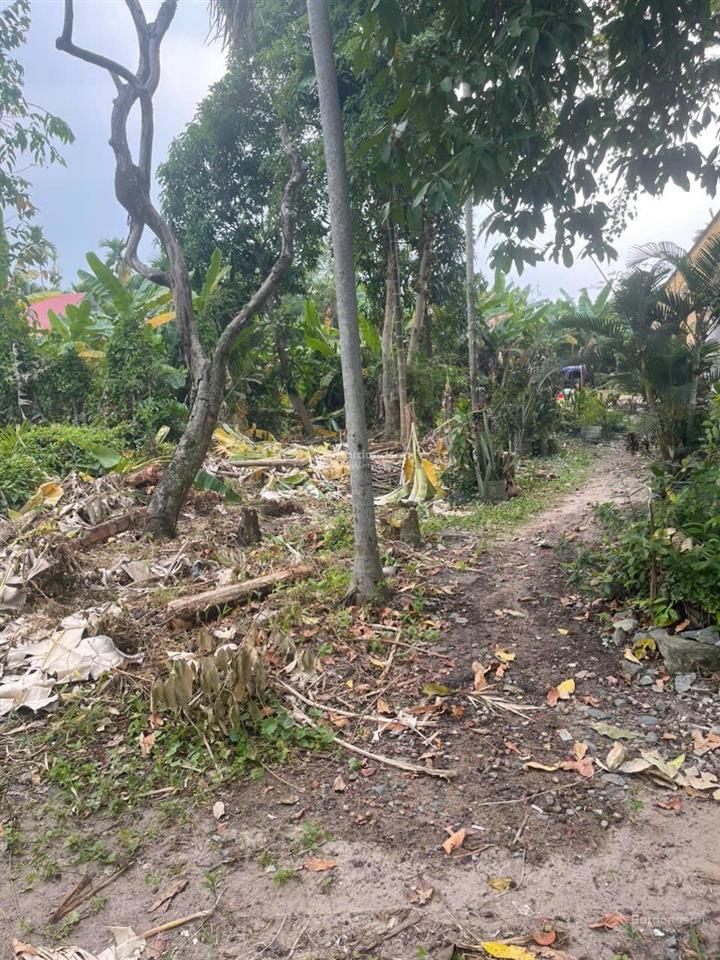 Bán đất tại hùng vương, nhơn trạch, 1,4 tỷ, 317,6 m2, đẹp, nhiều tiện ích