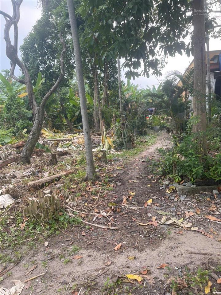 Bán đất tại hùng vương, nhơn trạch, 1,4 tỷ, 317,6 m2, đẹp, nhiều tiện ích