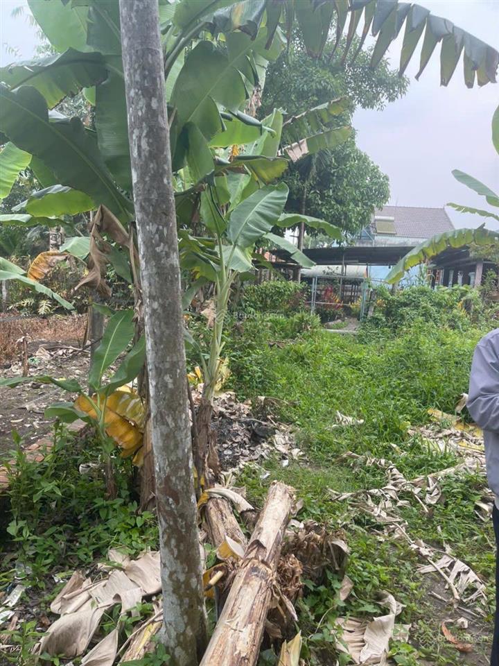 Bán đất tại hùng vương, nhơn trạch, 1,4 tỷ, 317,6 m2, đẹp, nhiều tiện ích