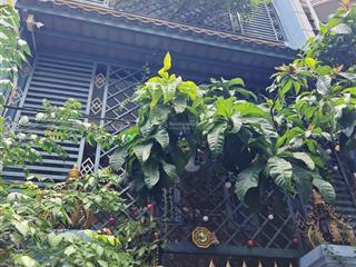 Giá rẻ hẻm xe hơi 3t 52m2 trần quang cơ 7 tỷ tl