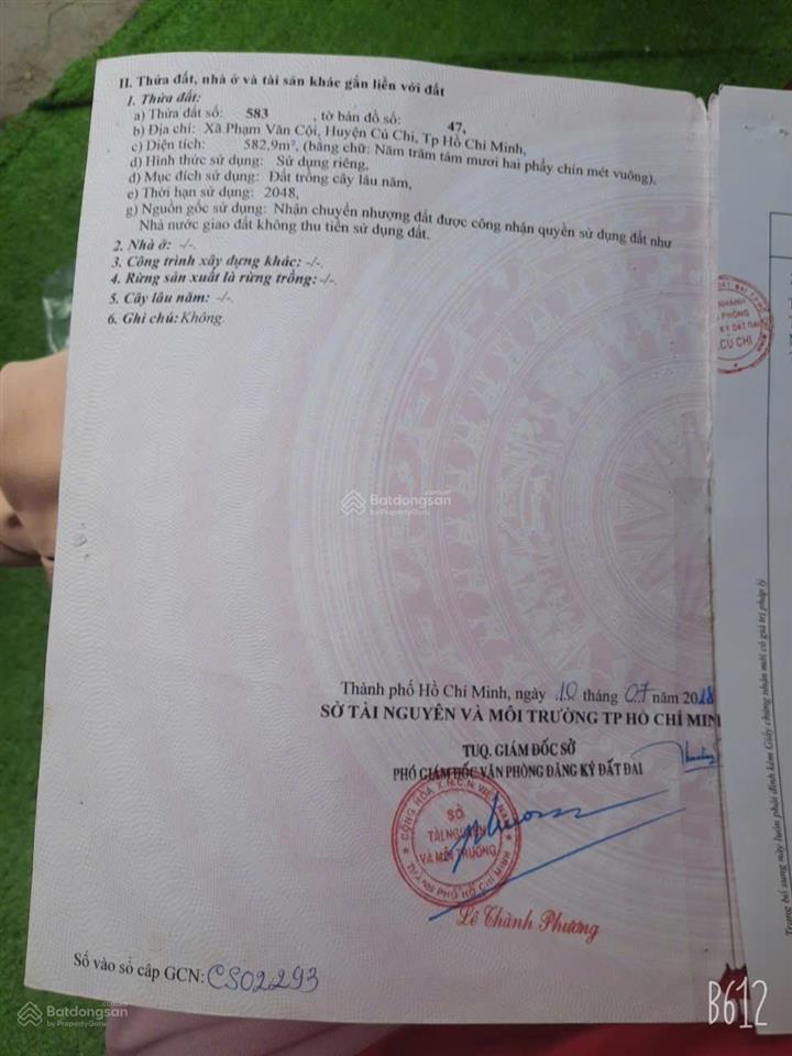 Đất nền 14m x 42m mặt tiền đường số 490 phạm văn cội