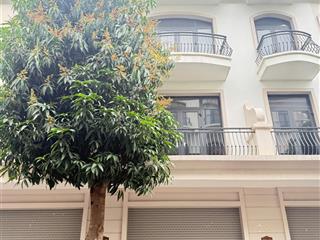 Cắt lỗ, cắt lỗ, biệt thự vinhomes ocean park 65m2 giá chỉ 8,8 tỷ.