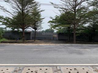 Chính chủ bán khu đất đẹp mặt tiền đường bến than, xã hoà phú