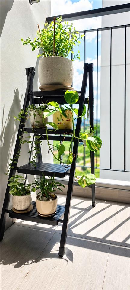 CHO THUÊ CĂN HỘ STUDIO SIÊU CHILL – RIÊNG TƯ, YÊN TĨNH, ĐẦY ĐỦ TIỆN NGHI - THUẬN AN, BÌNH