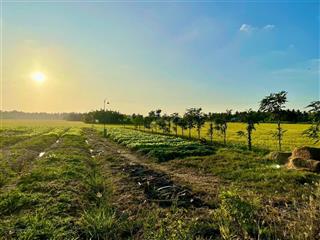 Bán đất tại lộ bình nhựt, 1848m2, đẹp và pháp lý đầy đủ