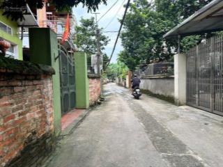Bán nhà phố mai trai 300m2, cơ hội tiềm năng kinh doanh