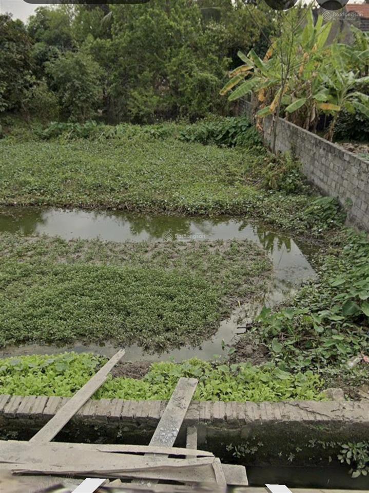 Bán đất tại bắc sơn, an dương, hải phòng, 1,45 tỷ, 86,6 m2 mt 5m nở hậu