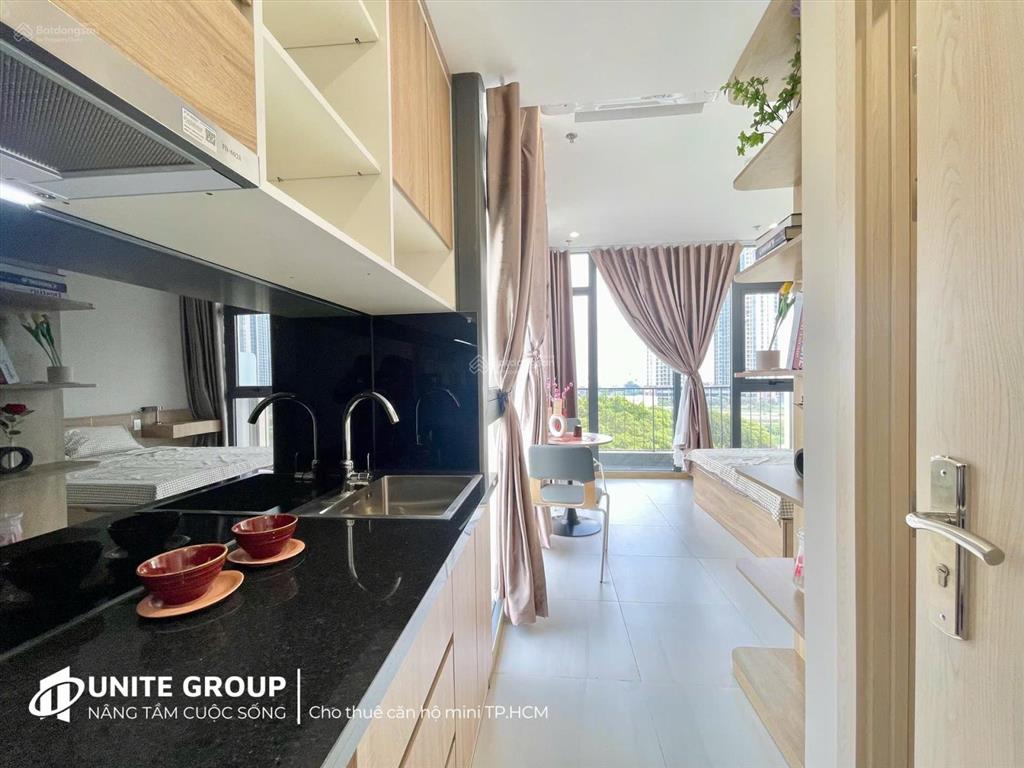Cho thuê chdv full nt,cửa sổ, view đẹptrung tâm q7,gần lotte mart,tdtu,rmit,cresent mall,q1,4,8