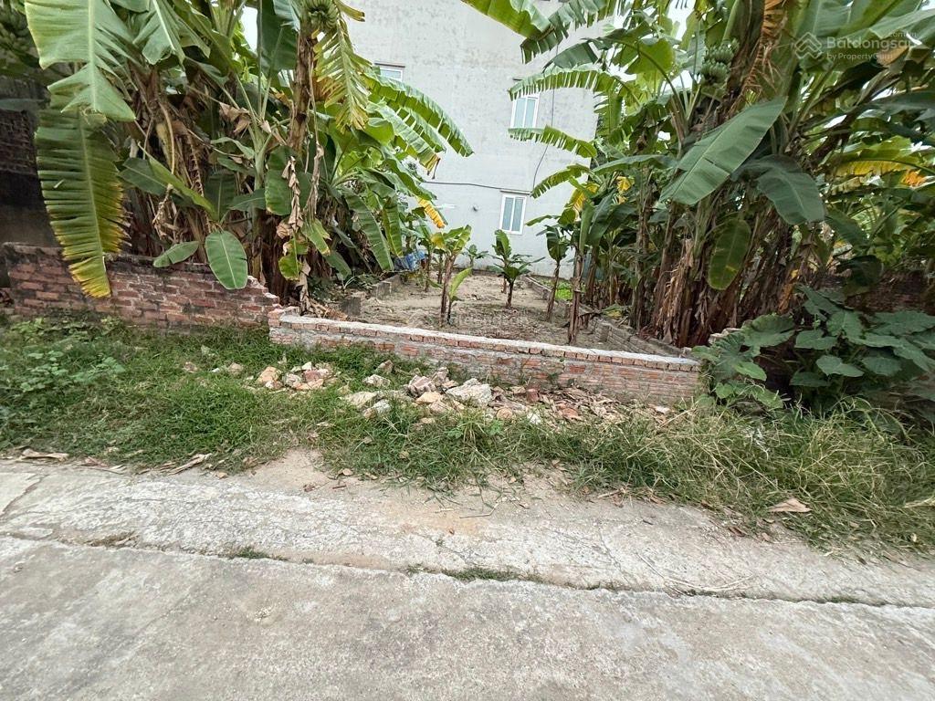 Bán đất tại đường mai trai, phường trung hưng, sơn tây, hà nội, 79 triệu / m2, 138 m2