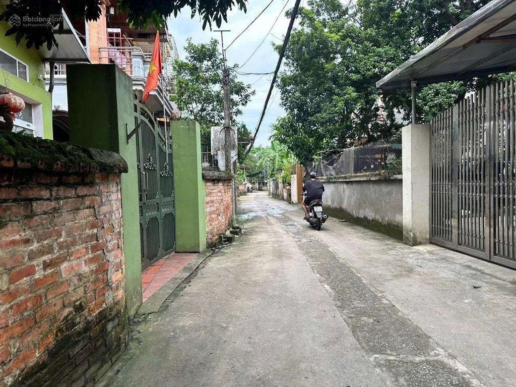 Bán đất tại đường mai trai, phường trung hưng, sơn tây, hà nội, 22,6 tỷ, 300m², hàng hot!