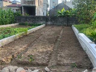 Cần tiền, bán rẻ hơn 300tr, hơn 3 tỷ, trung tâm thường tín, 48m2, ô tô tránh trước nhà, sổ a4,