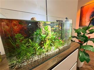 Bán chung cư 3pn, 2bán chung cư 3pn, 2wc tại trung văn, q. nam từ liêm, hà nội giá cực chất 8,35 tỷ