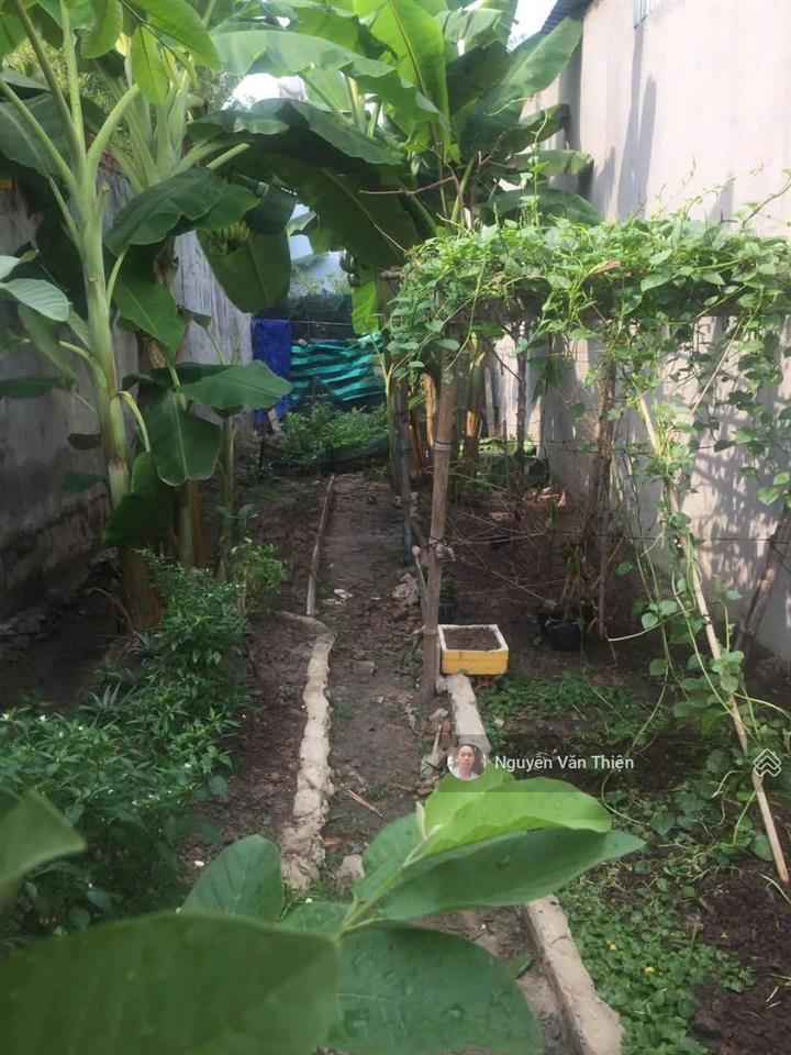 Nhà 181.5m dòng tiền sẵn gần quốc lộ 22 5 phòng trọ + kiot