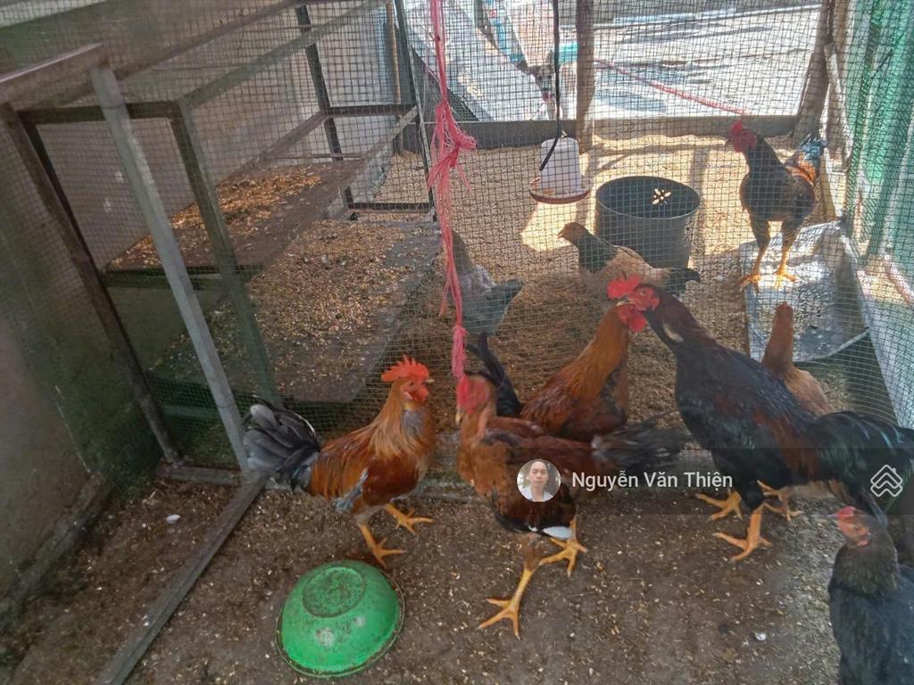 Nhà 181.5m dòng tiền sẵn gần quốc lộ 22 5 phòng trọ + kiot