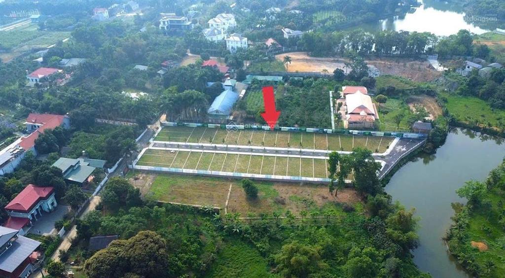 Cần tiền bán cắt lỗ đất nền hòa lạc cổ đông