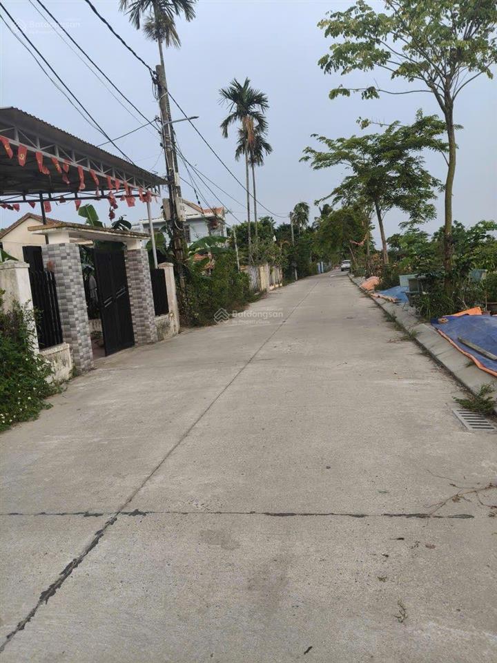 Bỏ phố về quê sở hữu góc yên bình giữa làng rau trà quế thơ mộng